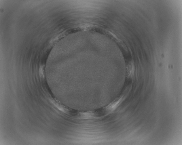 X0000076070286200610152235