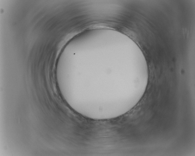 X0000076070289200610152234