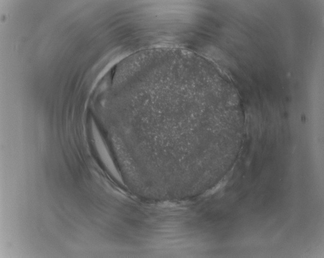 X0000076070290200610152234