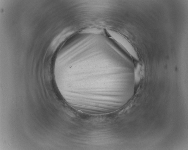 X0000076070291200610152234