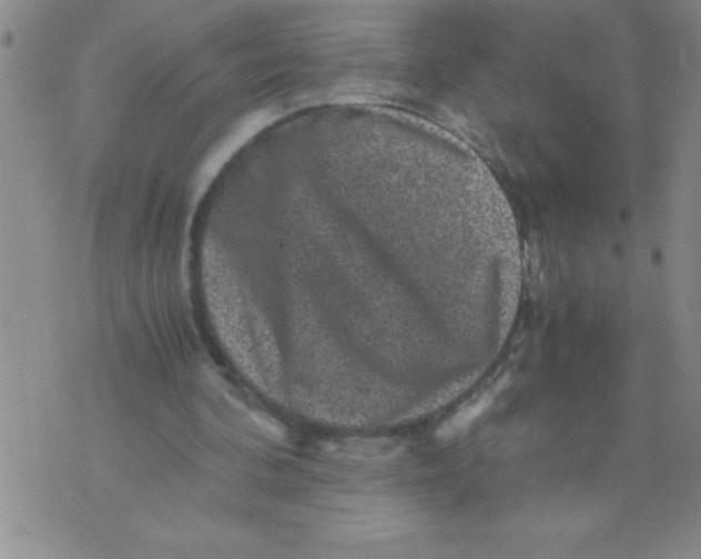 X0000076070292200610152234