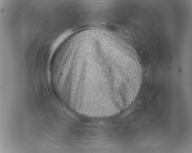 X0000076070294200610152234