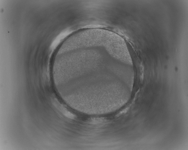 X0000076070296200610152234