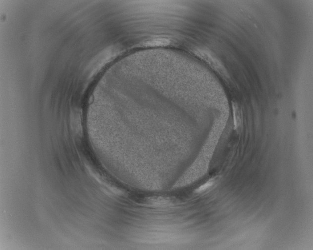 X0000076070300200610152234