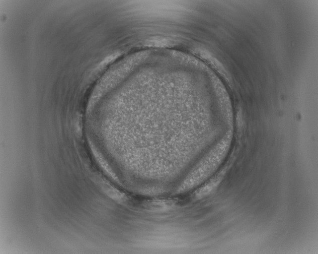 X0000076070305200610152234