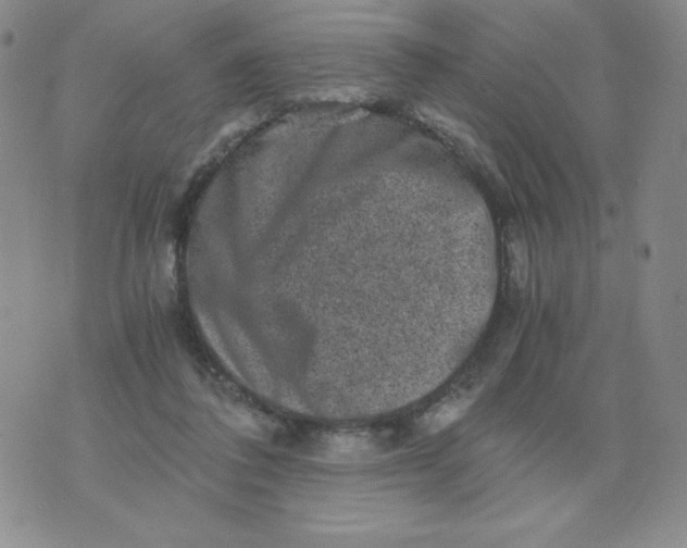 X0000076070308200610152234