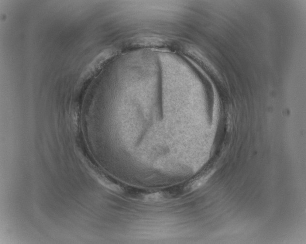 X0000076070309200610152234