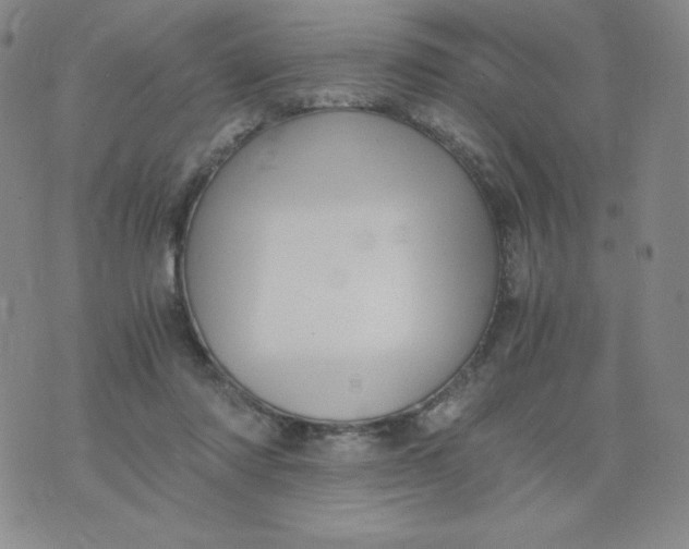 X0000076070310200610152234