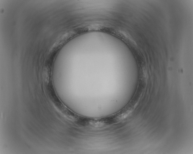 X0000076070311200610152234