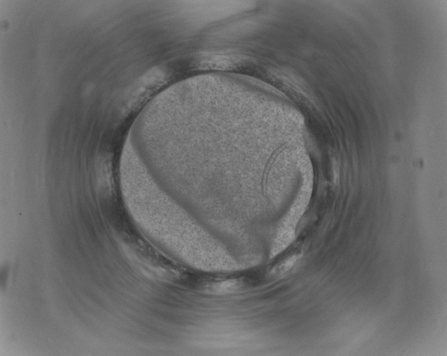 X0000076070312200610152234