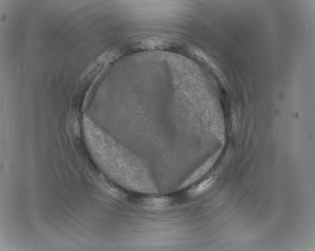 X0000076070313200610152234