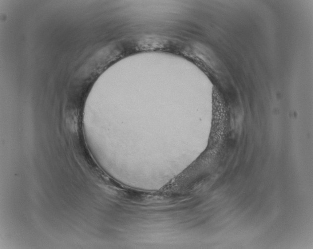 X0000076070315200610152234