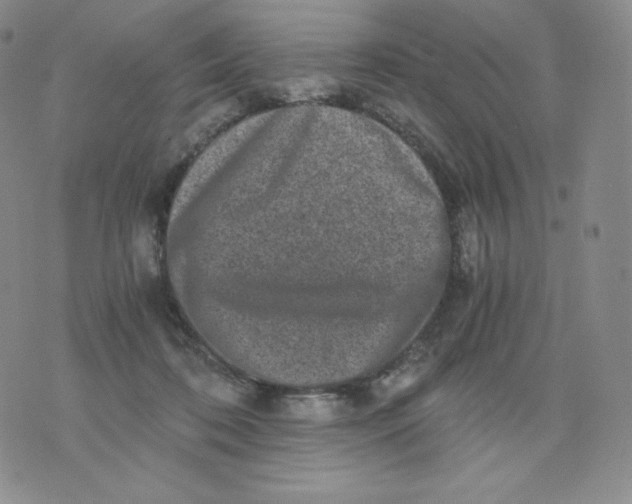 X0000076070316200610152234