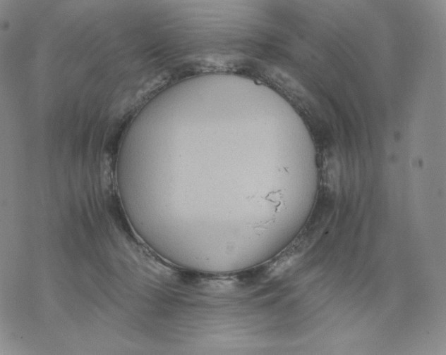 X0000076070318200610152234