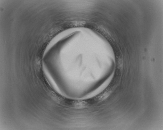 X0000076070321200610152234