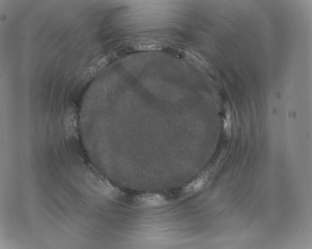 X0000076070322200610152234