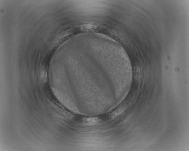 X0000076070324200610152234