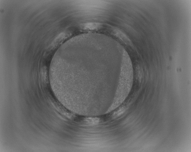 X0000076070328200610152234