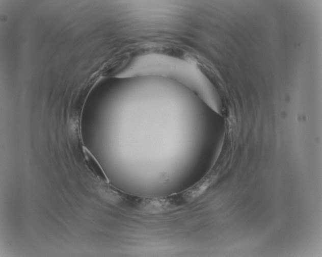 X0000076070329200610152234