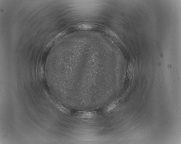 X0000076070330200610152234