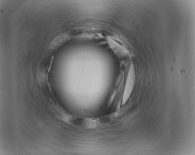 X0000076070333200610152234