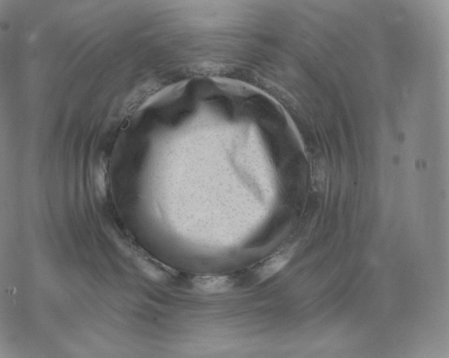 X0000076070334200610152234