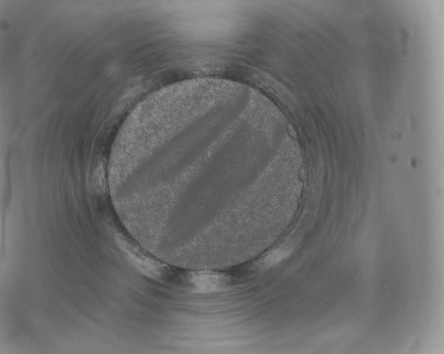 X0000076070336200610152234