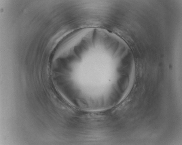 X0000076070338200610152233