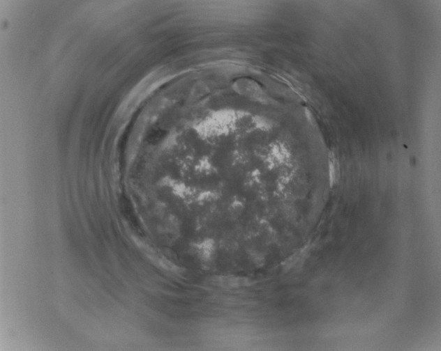 X0000076070339200610152233