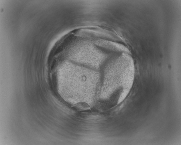 X0000076070342200610152233