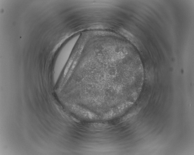 X0000076070347200610152233