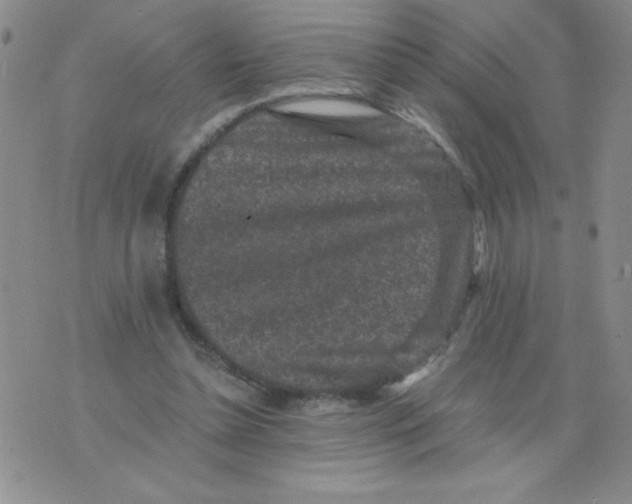 X0000076070348200610152233