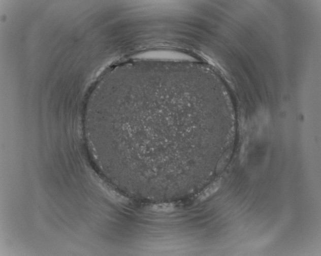 X0000076070353200610152233