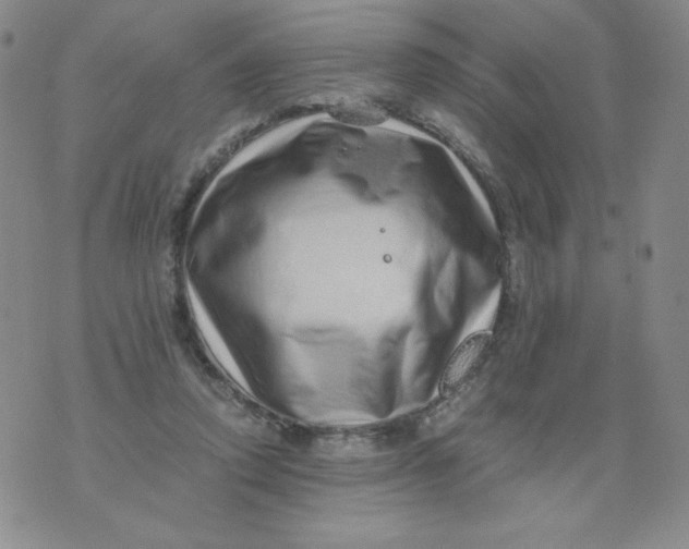 X0000076070354200610152233