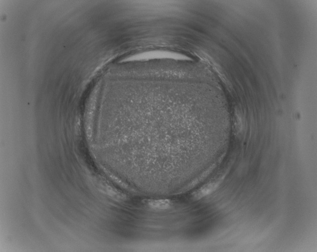 X0000076070355200610152233