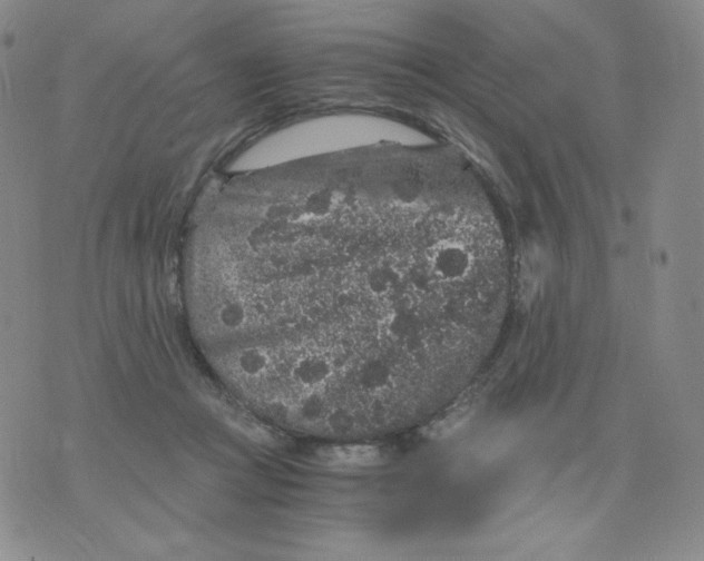 X0000076070361200610152233