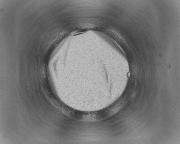 X0000076070362200610152233