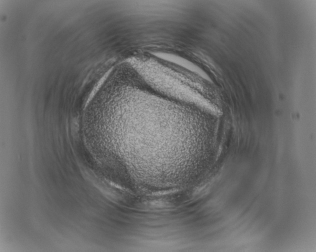 X0000076070365200610152233