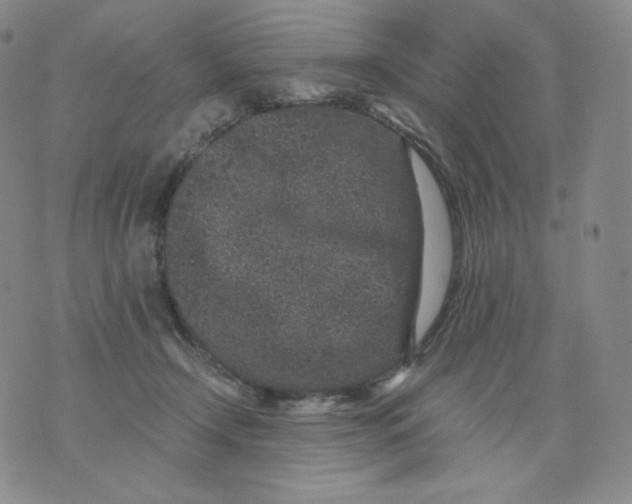 X0000076070366200610152233