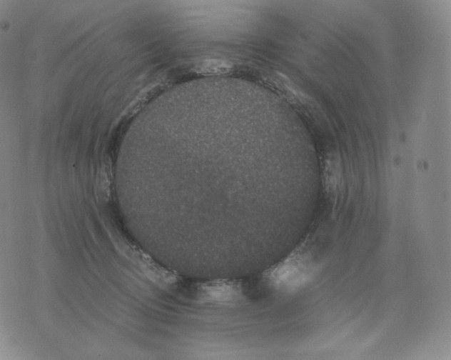 X0000076070370200610152233