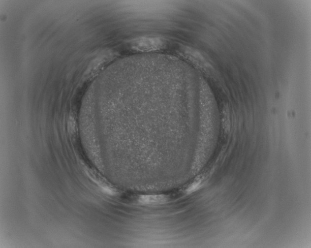 X0000076070371200610152233