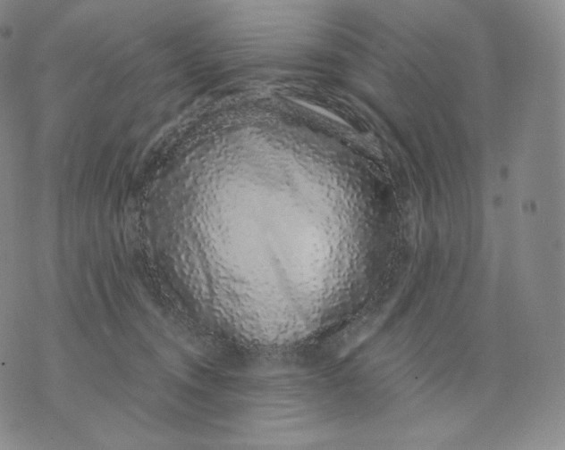 X0000076070372200610152233