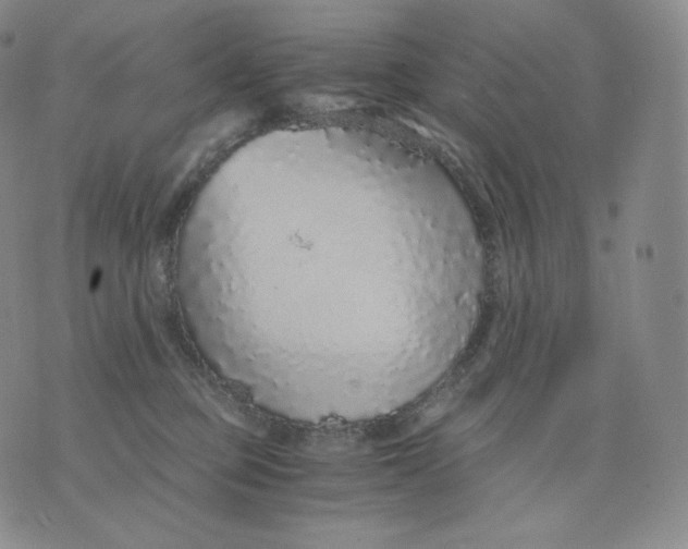 X0000076070373200610152233