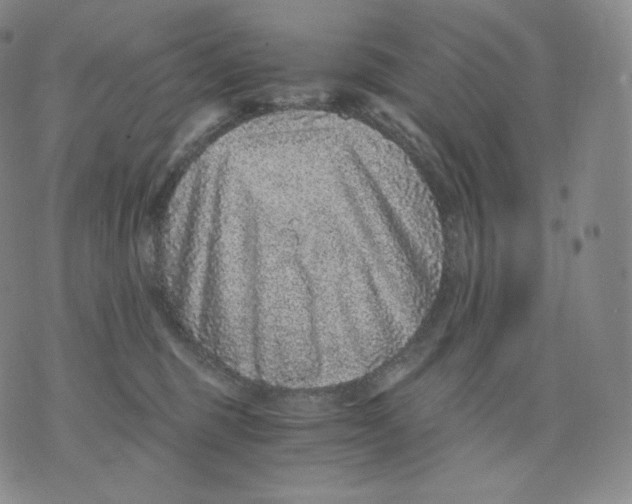 X0000076070375200610152233