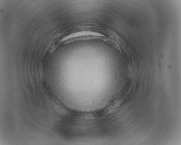 X0000076070377200610152234