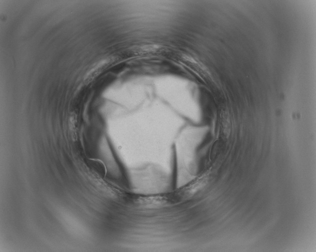 X0000076070378200610152234