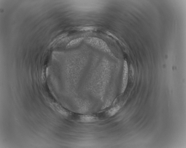 X0000076070380200610152234