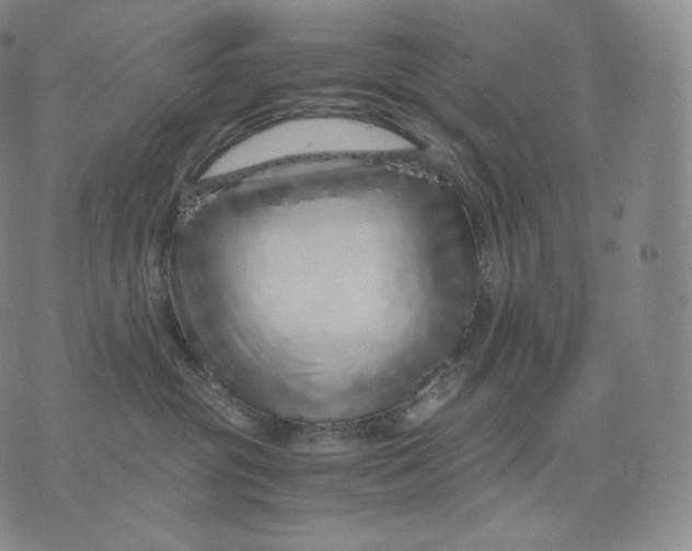 X0000076070381200610152234