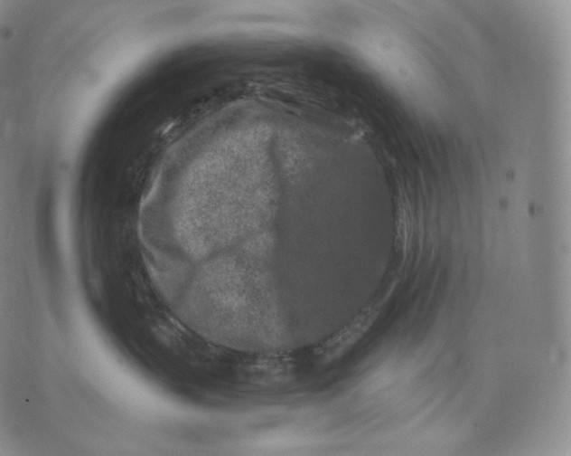 X0000076070383200610152234