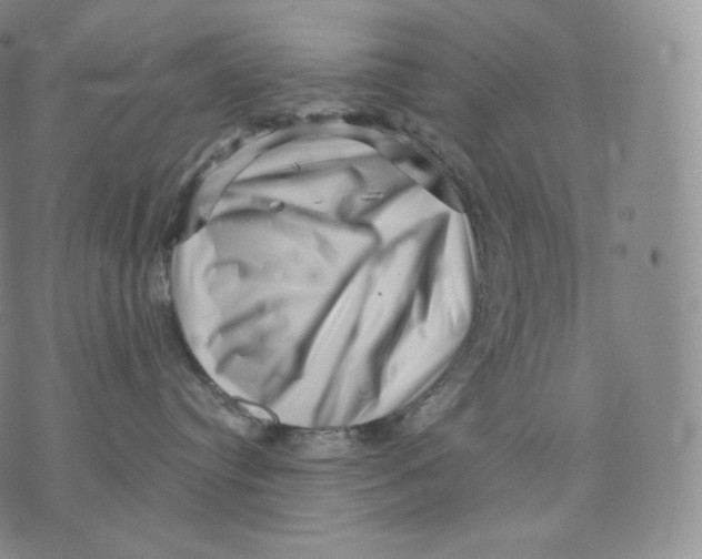 X0000076070384200610152234